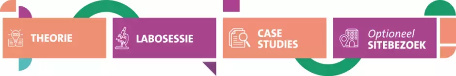 theorie-labosessie-case-studies-sitebezoek