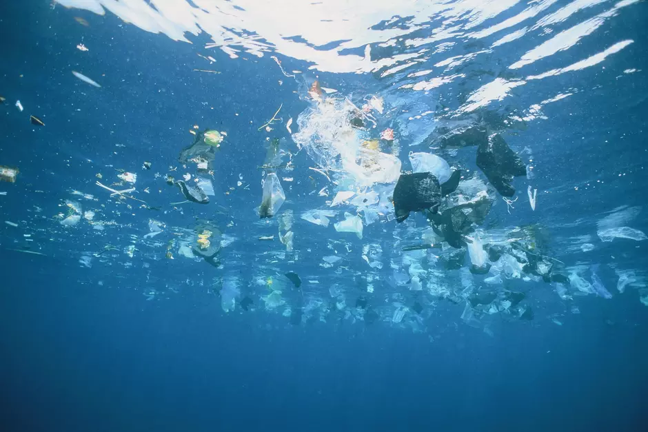 Non-hazardous industrial waste , Fatty waste , Plastic , Sea